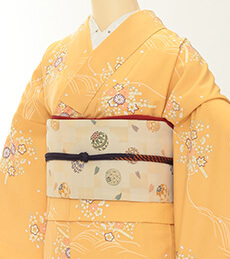 和服示例圖