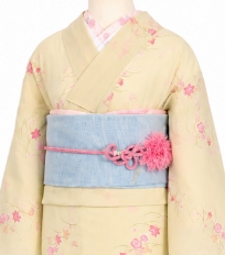 Rental Kimono Examples